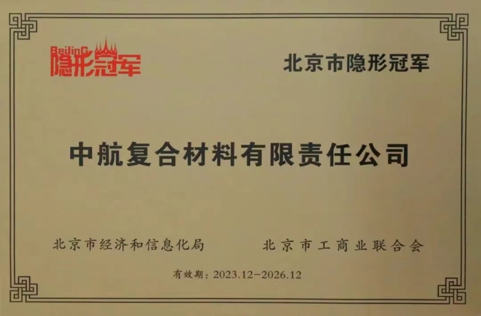 隱形冠軍2